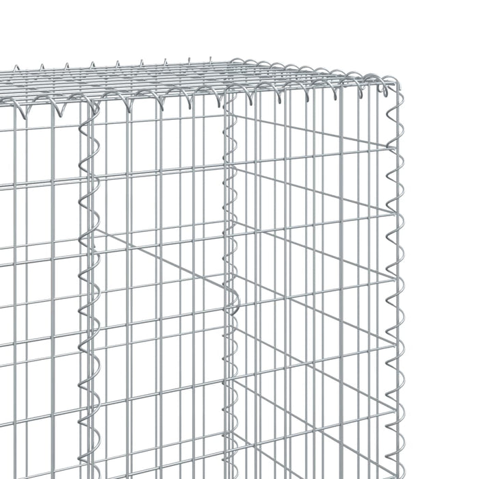 Gabion Basket With Cover 300X50X200 Cm Galvanised Iron Txkpoln