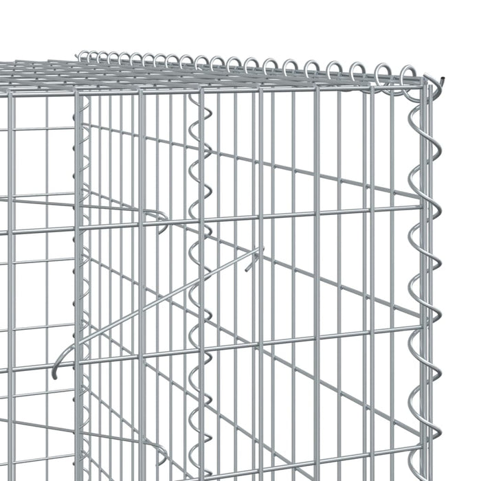Gabion Basket With Cover 200X100X200 Cm Galvanised Iron Txkpxxi