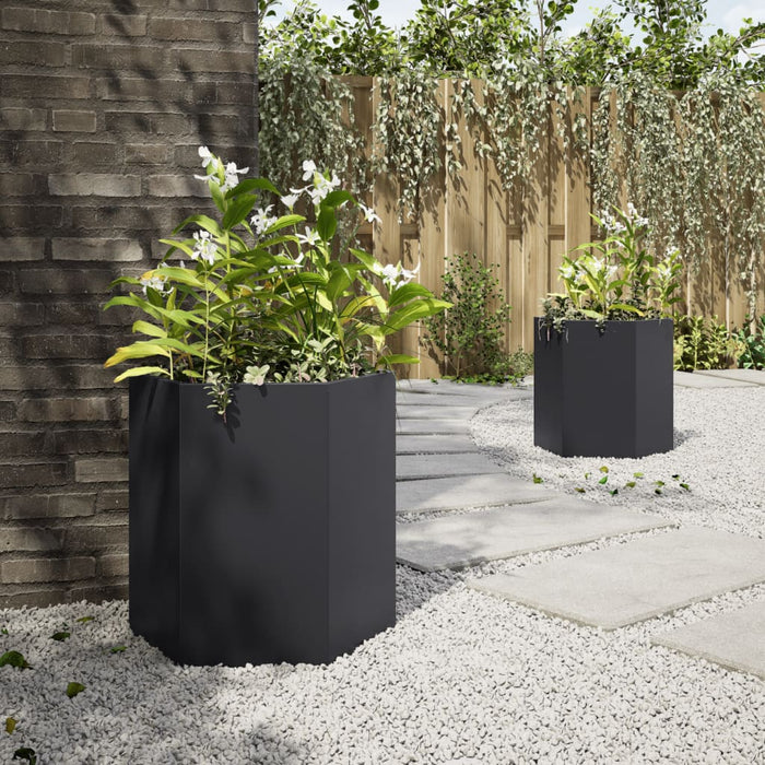 Garden Planters 2 Pcs Black Hexagon 46X40X45 Cm Steel Npoobk