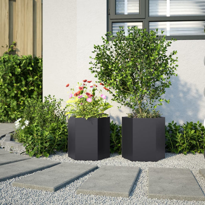 Garden Planters 2 Pcs Black Hexagon 46X40X45 Cm Steel Npoobk