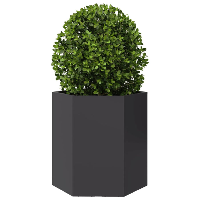 Garden Planters 2 Pcs Black Hexagon 46X40X45 Cm Steel Npoobk