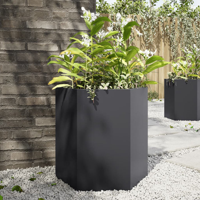 Garden Planters 2 Pcs Black Hexagon 46X40X45 Cm Steel Npoobk