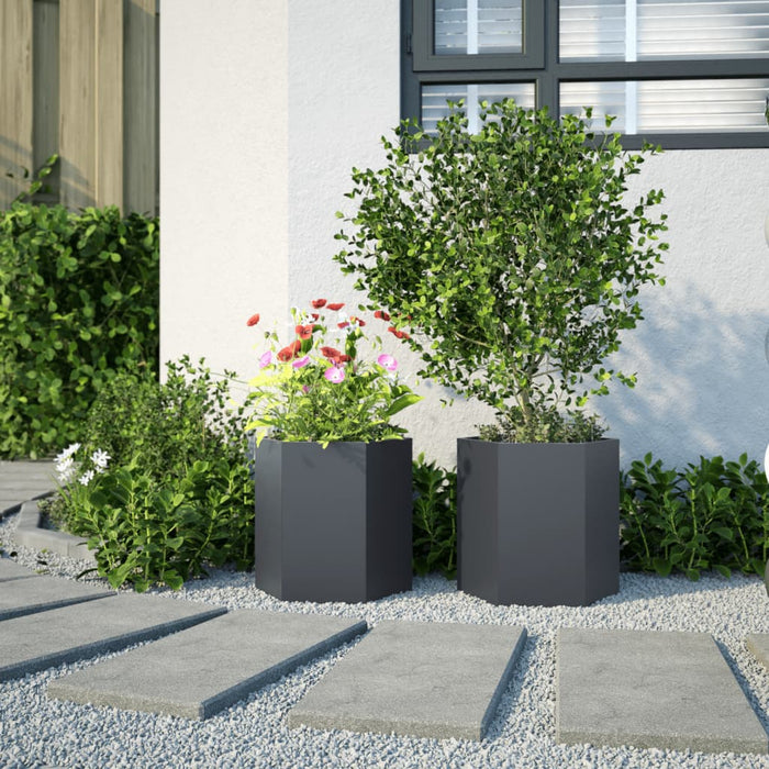 Garden Planters 2 Pcs Anthracite Hexagon 46X40X45 Cm Steel Npooot
