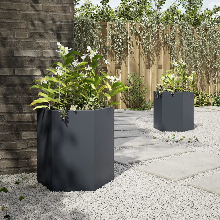 Garden Planters 2 Pcs Anthracite Hexagon 46X40X45 Cm Steel Npooot