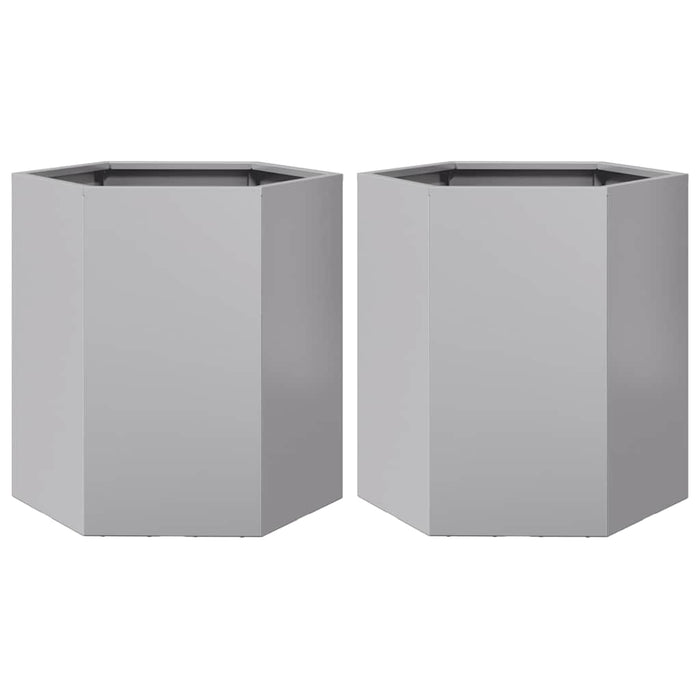 Garden Planters 2 Pcs Hexagon 46X40X45 Cm Galvanized Steel Npoook