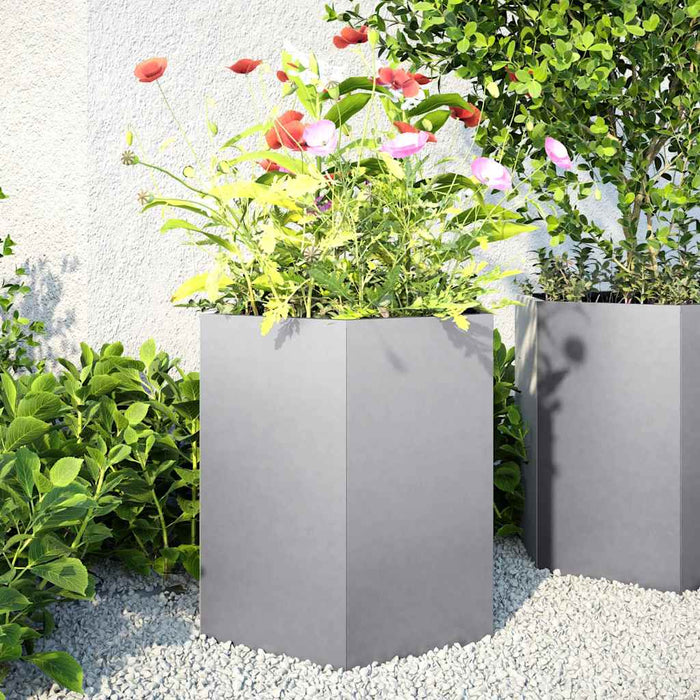 Garden Planters 2 Pcs Hexagon 46X40X45 Cm Galvanized Steel Npoook