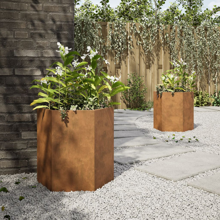 Garden Planters 2 Pcs Hexagon 46X40X45 Cm Weathering Steel Npooxo