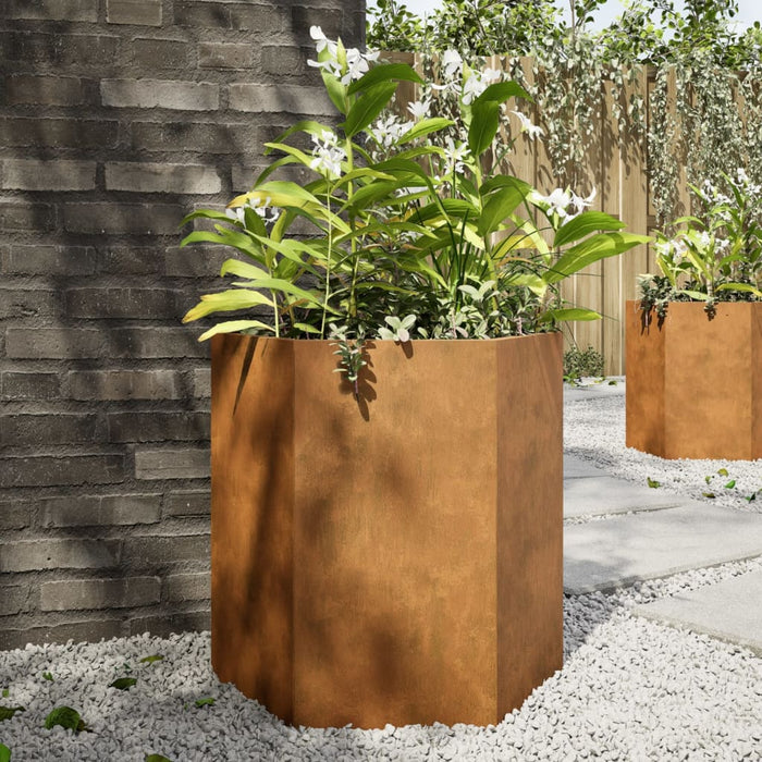 Garden Planters 2 Pcs Hexagon 46X40X45 Cm Weathering Steel Npooxo
