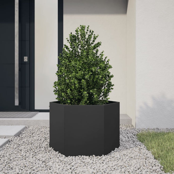 Garden Planter Black Hexagon 69X60X45 Cm Steel Npooxx