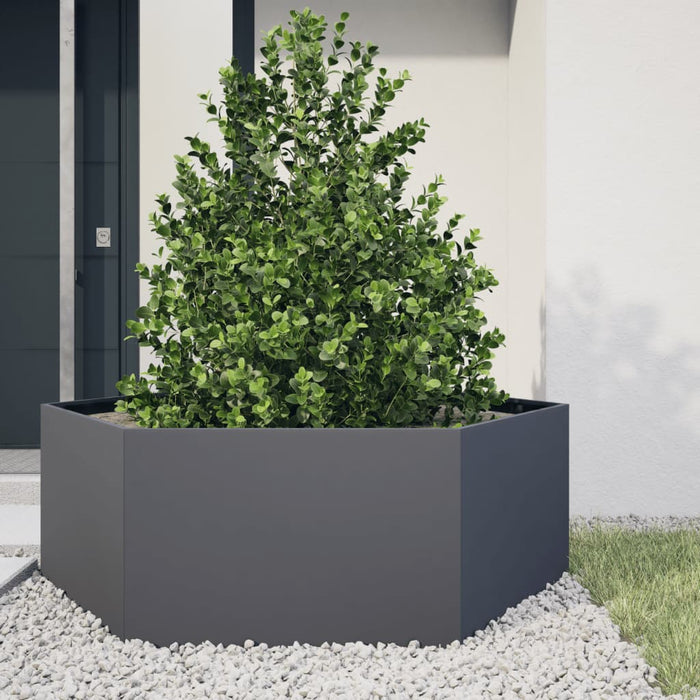Garden Planter Anthracite Hexagon 138X120X45 Cm Steel Npootn