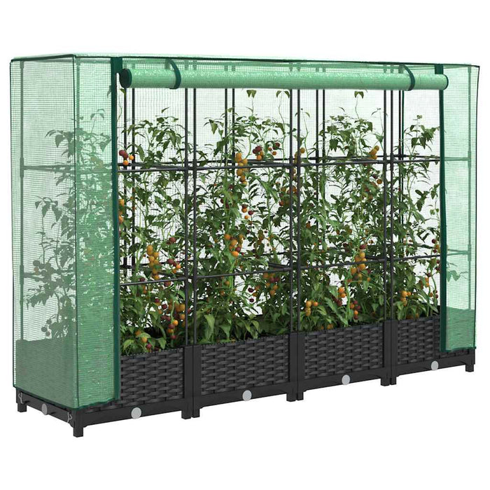 Raised Bed With Greenhouse Cover Rattan Look 160X40X123 Cm Abopnox