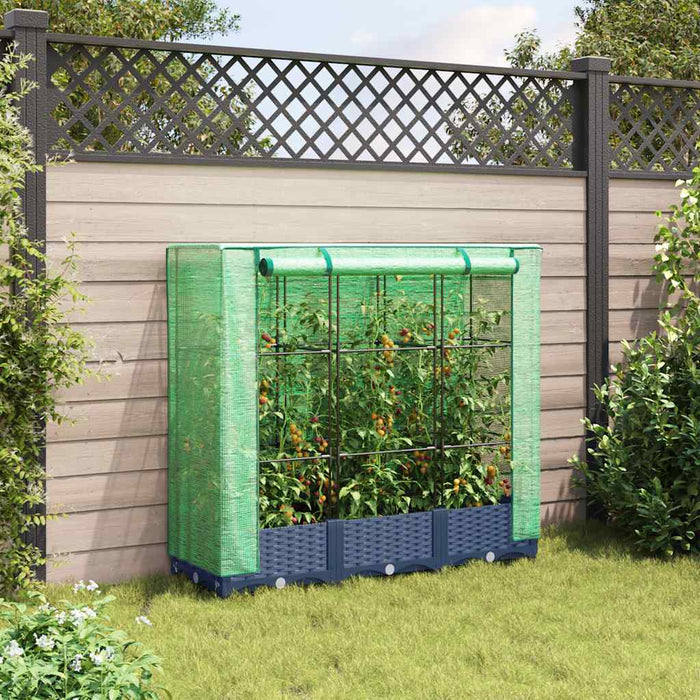Raised Bed With Greenhouse Cover Rattan Look 120X40X123 Cm Abopnxp