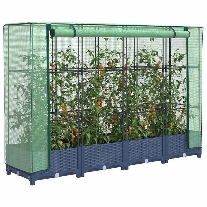 Raised Bed With Greenhouse Cover Rattan Look 160X40X123 Cm Abopnxl