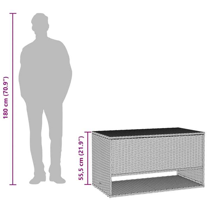 Outdoor Cushion Box Grey 100X55X55.5 Cm Poly Rattan Aobaoat