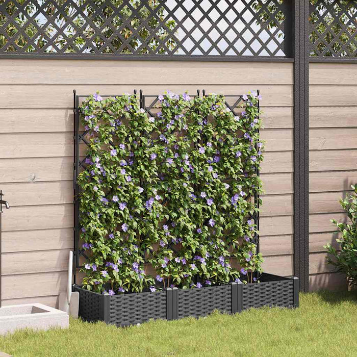 Garden Planter With Trellis 3 Pcs Black 120 X 40 X 125.5 Cm Pp Axbbxntk