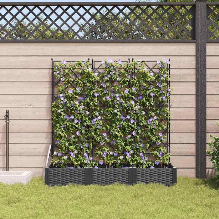 Garden Planter With Trellis 3 Pcs Black 120 X 40 X 125.5 Cm Pp Axbbxntk