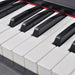88-key Digital Piano with Pedals Black Melamine Board