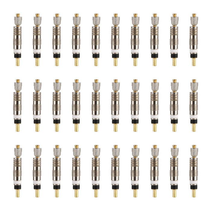 30-Piece Detachable French Valve Core For Bicycles Ruled Style