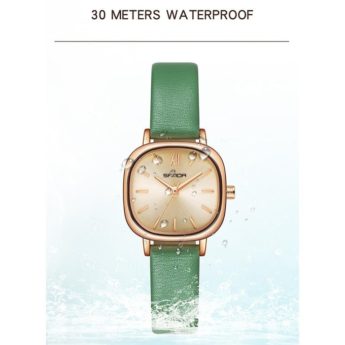 P1098 Simple Bar Scale Oval Dial Quartz Watch For Women