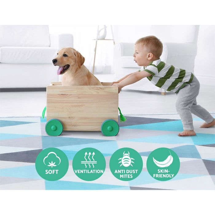 Floor Rug 200X290 Mat Carpet Short Pile Tria