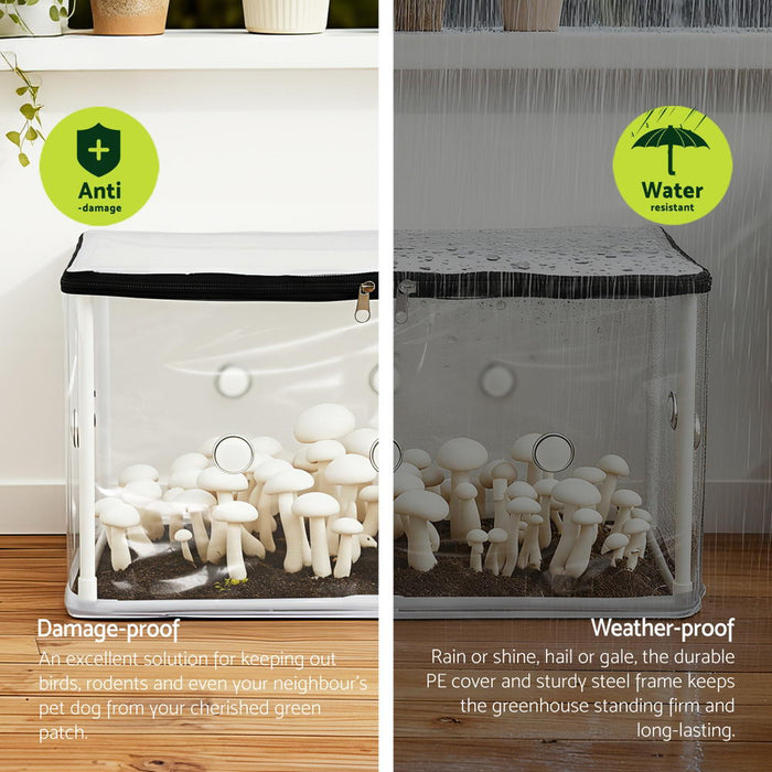 Mini Greenhouse 50X25X25cm Pvc Cover For Mushrooms Succulents