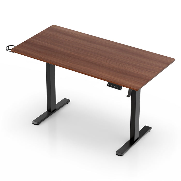 Standing Desk Motorised Dual Motor Electric Walnut 140cm
