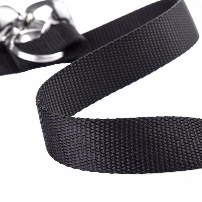 7 Bell Dog Training Bell & Leash Set