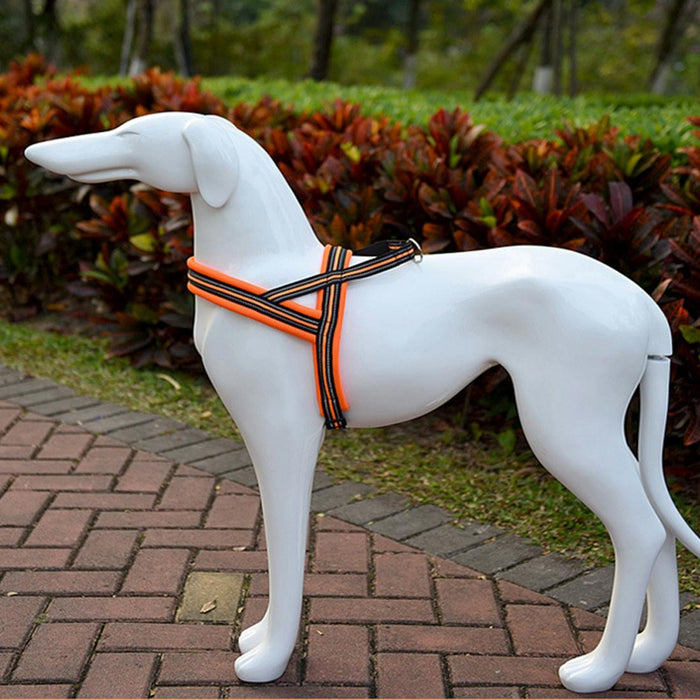 Reflective Chest Harness For Big Dogs