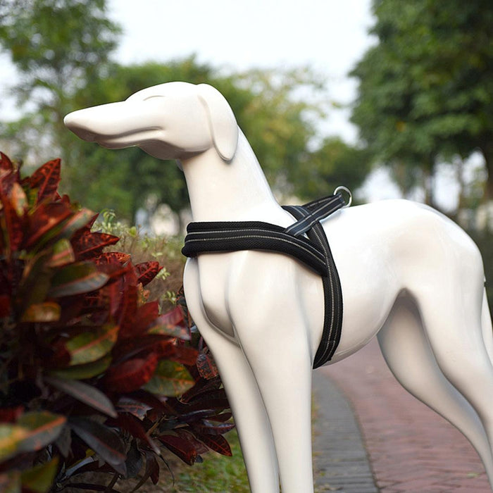 Reflective Chest Harness For Big Dogs