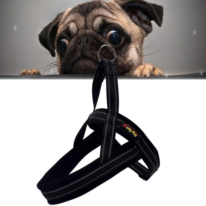 Reflective Chest Harness For Big Dogs