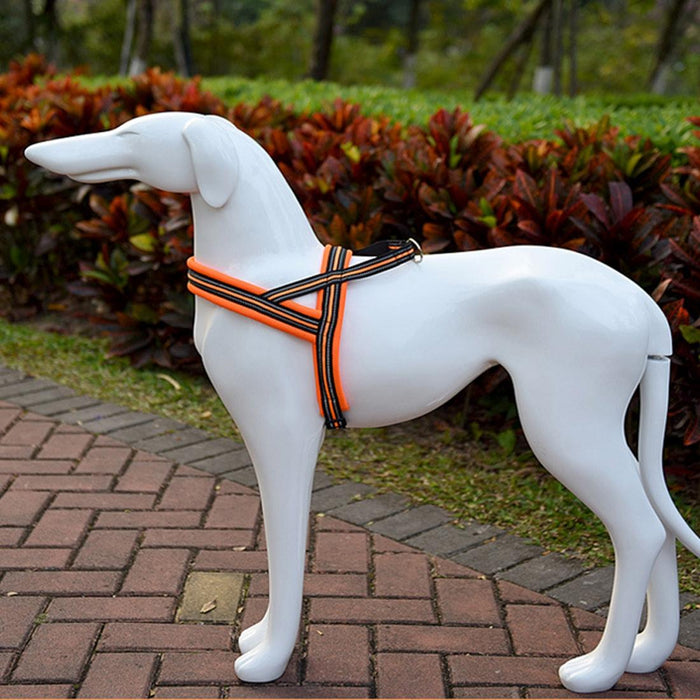 Reflective Chest Harness For Big Dogs