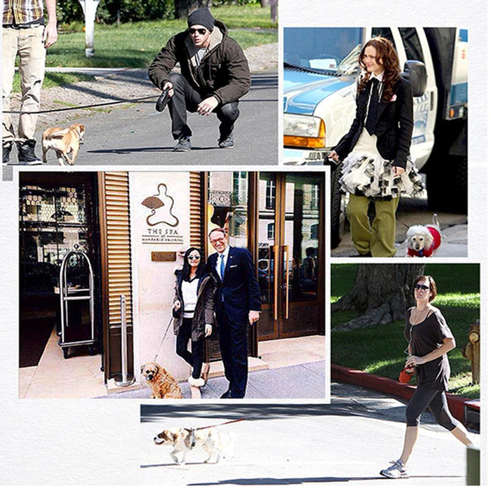 Explosion Proof Dog Traction Rope With Foam Handle Size 3Mm X 40Cm Foam Width 2Cm