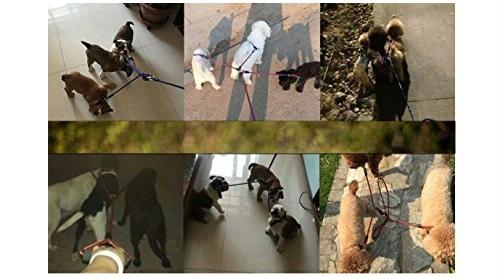 3 In 1 Nylon Dog Leash With Handle 124Cm Blue