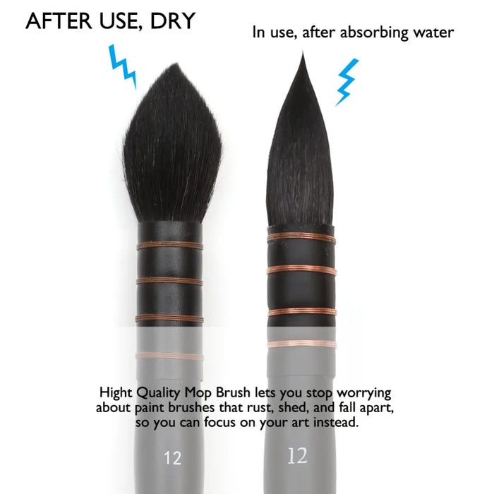 Professional Round Squirrel & Horse Hair Paint Brush Set