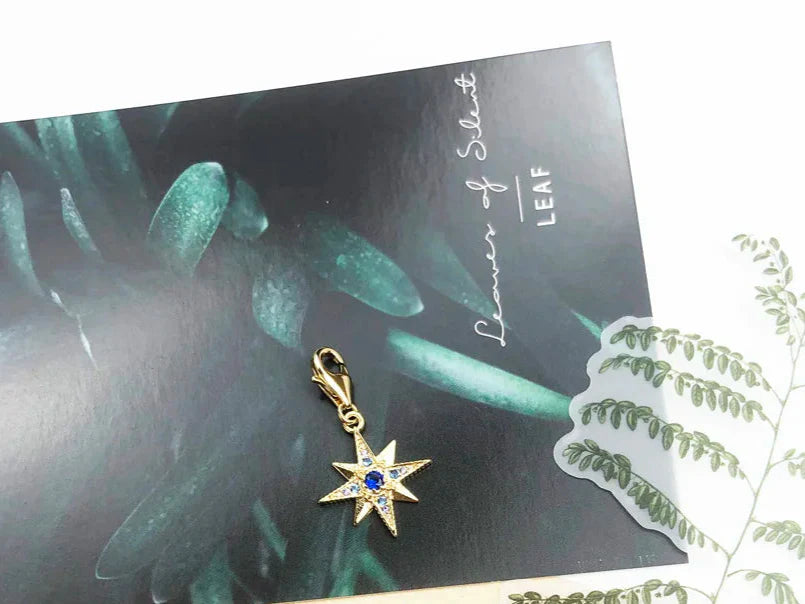 925 Sterling Silver Golden Royalty Star Charm Necklace For Women & Men