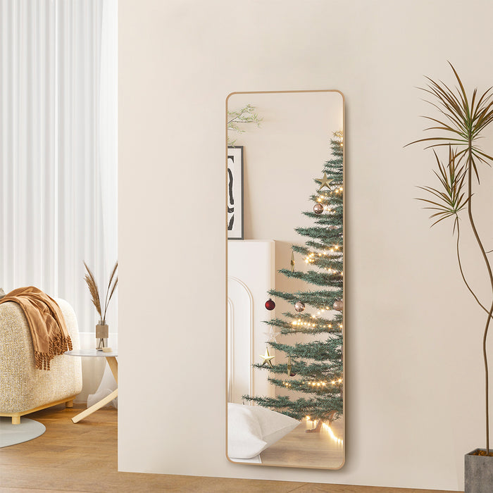 120Cm Wall Mounted Full Length Mirror Door Hanging