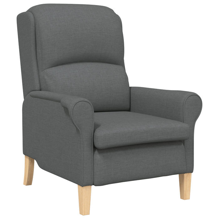 Modern Armchair Dark Grey Fabric, Wood Medium Durable Armchair Axbbknao