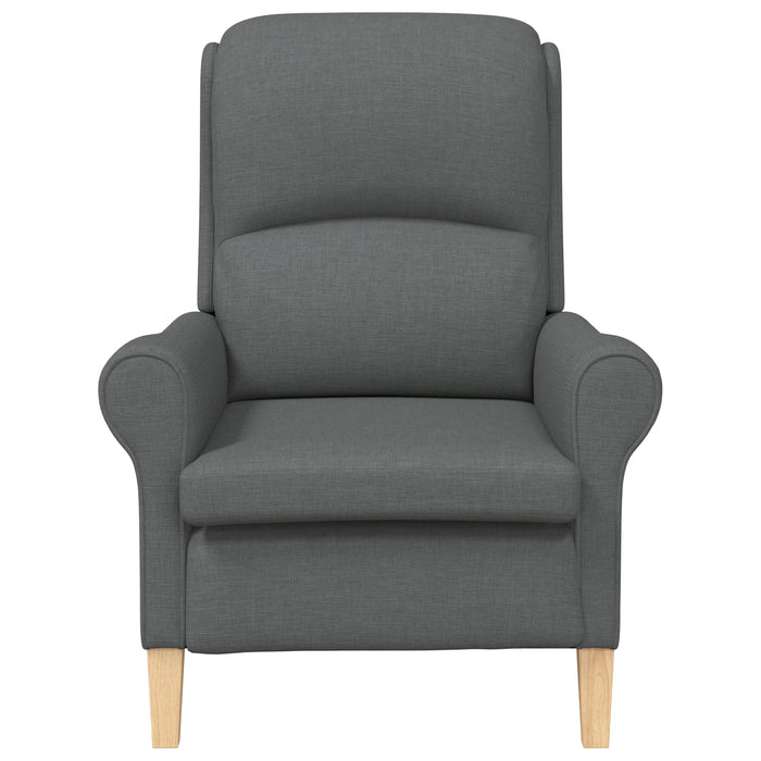 Modern Armchair Dark Grey Fabric, Wood Medium Durable Armchair Axbbknao