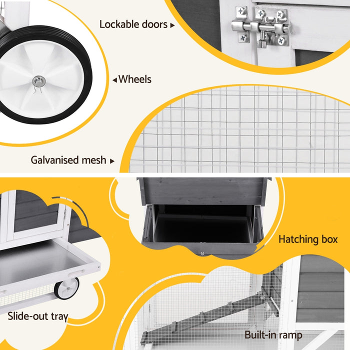 Extra Large Wooden Spacious Pet House