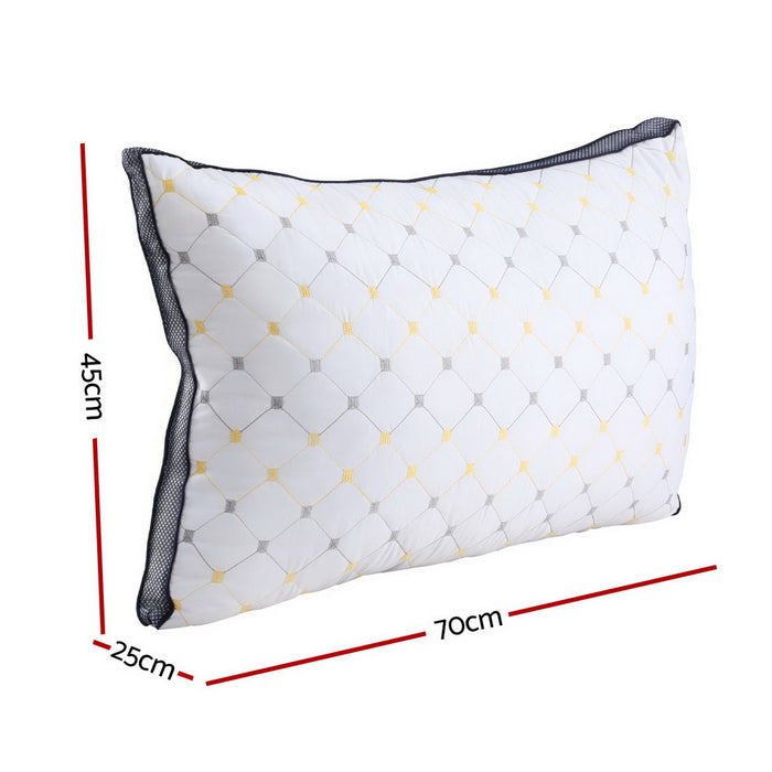 2Pcs Pillows Microfibre