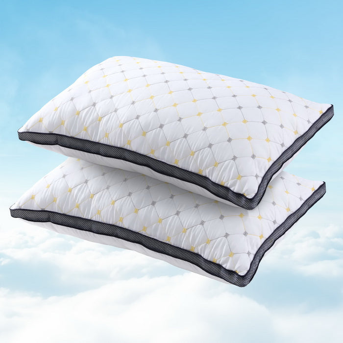 2Pcs Pillows Microfibre