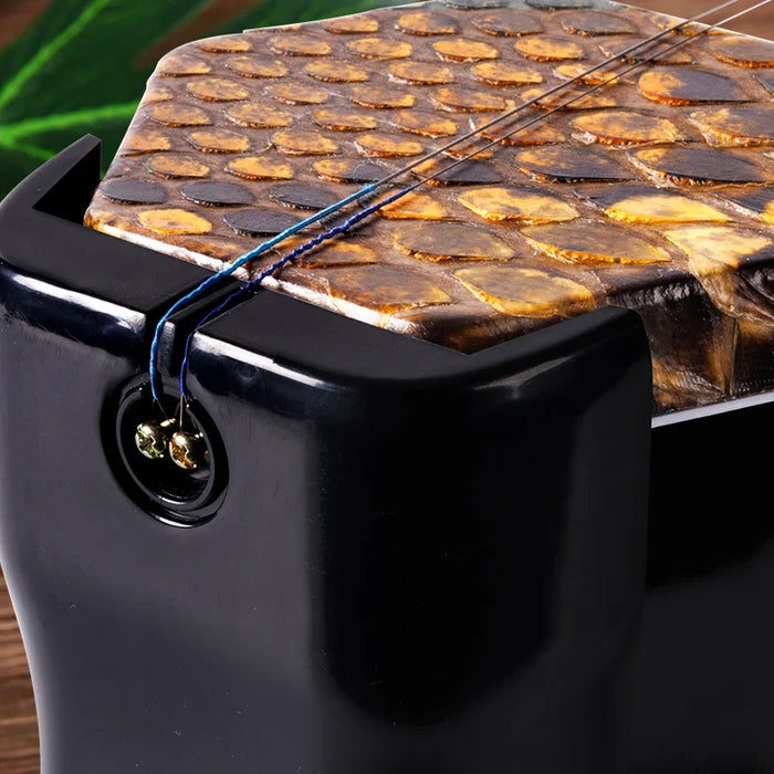 Professional 2 String Wooden Erhu For Chinese Traditional Music