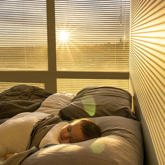 Striped Frosted Window Film - Privacy Sticker