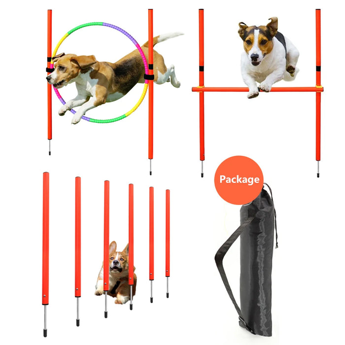 Portable Dog Agility Set For Outdoor Training