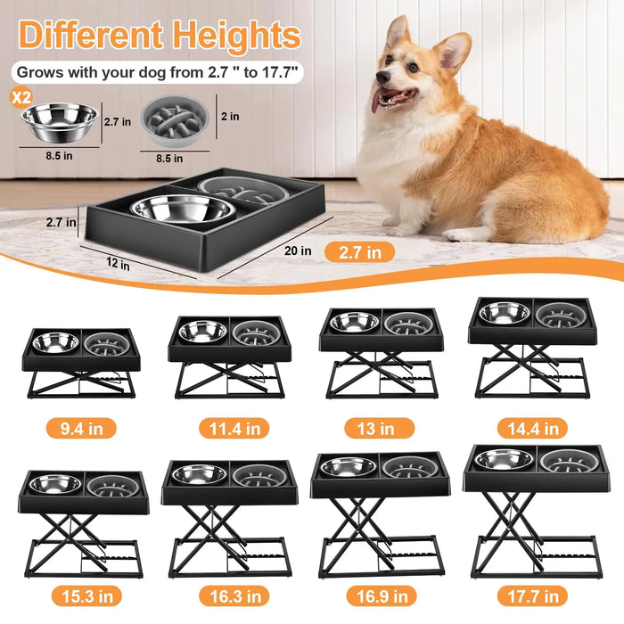 Adjustable Elevated Dog Bowls For Medium / Large Dogs