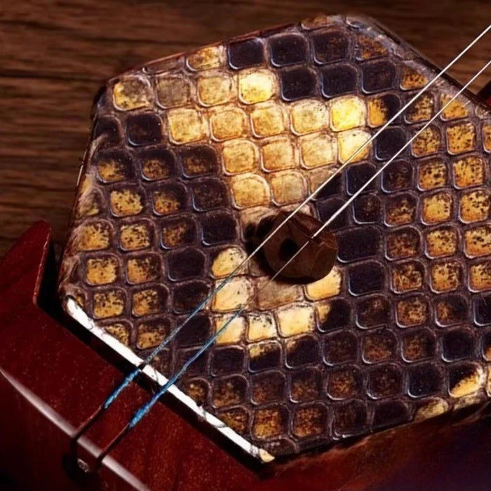 Traditional Rosewood Erhu For Adult Beginners