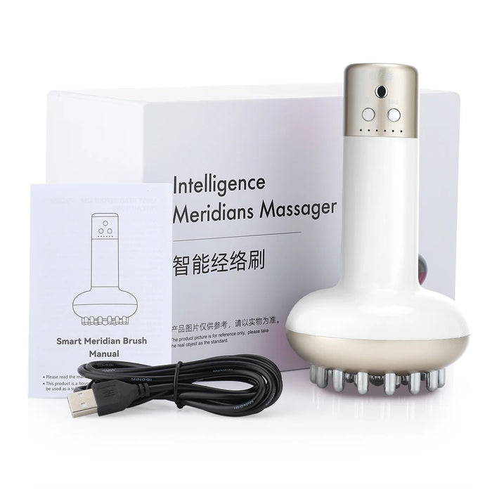 Electric Microcurrent Massage Brush For Lymphatic Drainage And Fat Burning