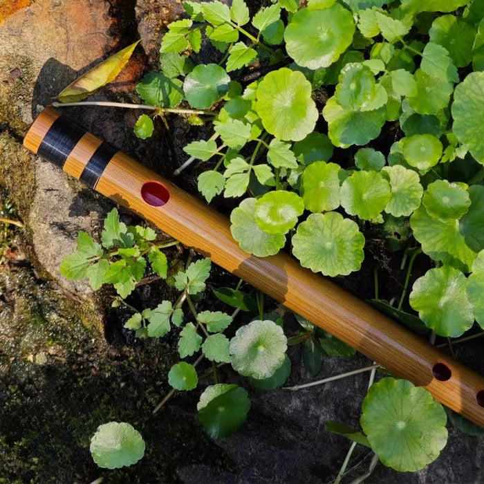 Professional Bamboo Flute For Adult Beginners