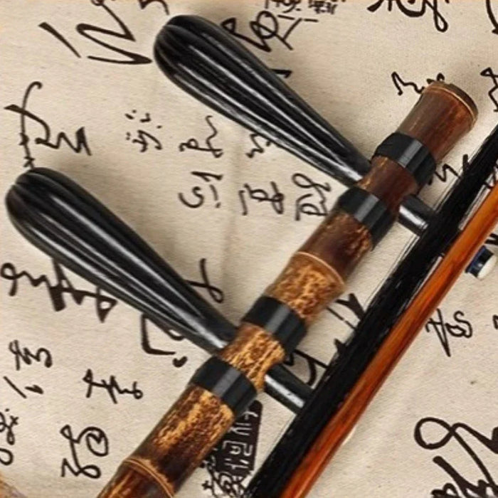 Professional 2 String Jinghu For Adult Beginners