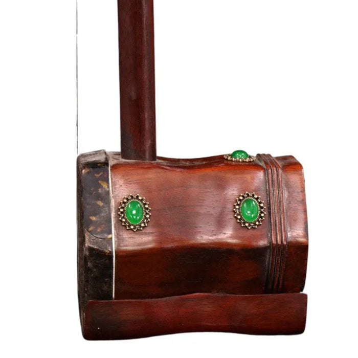 Professional 2 String Erhu For Adult Beginners